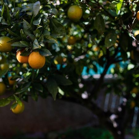 Вилла Florit Flats - The Orange Lemon Tree House Ля Элиана Экстерьер фото