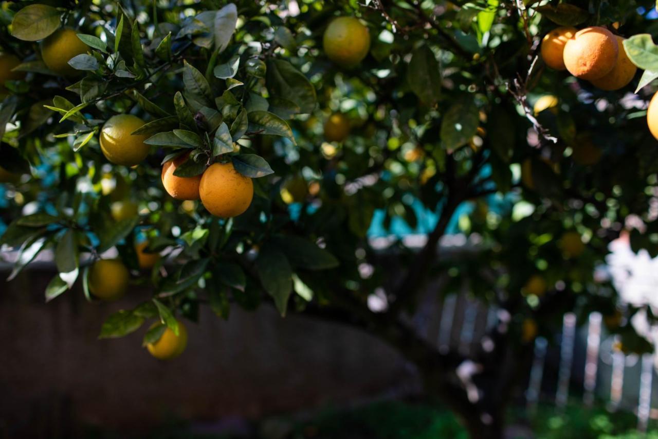 Вилла Florit Flats - The Orange Lemon Tree House Ля Элиана Экстерьер фото