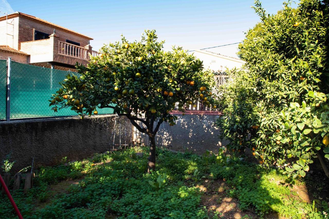 Вилла Florit Flats - The Orange Lemon Tree House Ля Элиана Экстерьер фото